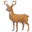 🦌